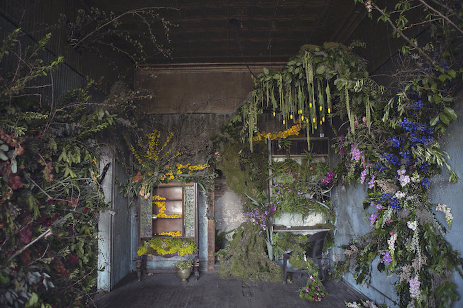Abandoned Detroit House Filled by Flowers, photographed by Heather Saunders
