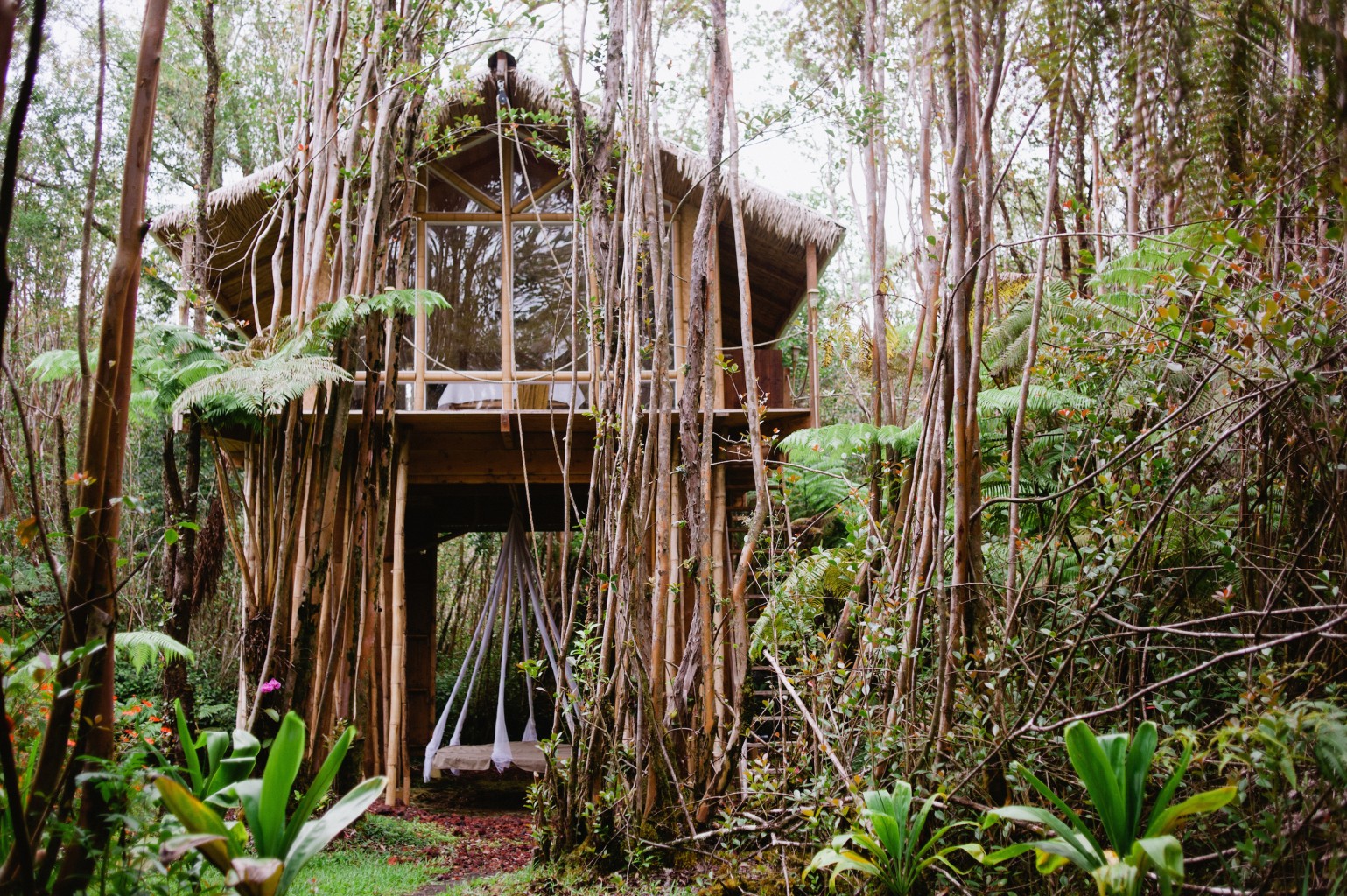 Airbnb treehouse