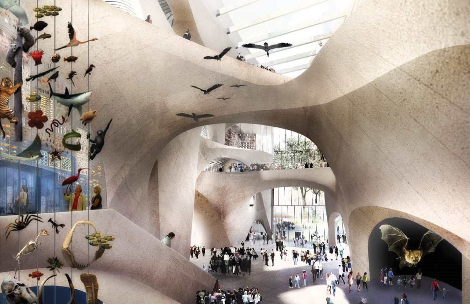 Proposed Interior of the Gilder Center Central Exhibition Hall. Courtesy of the American Museum of Natural History 