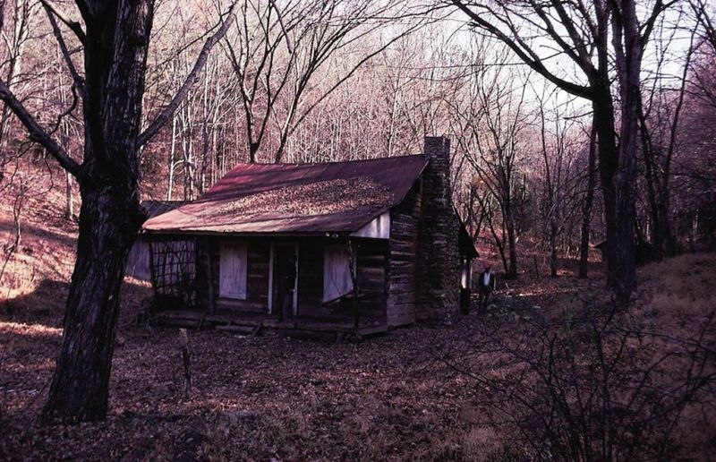 Evil Dead cabin