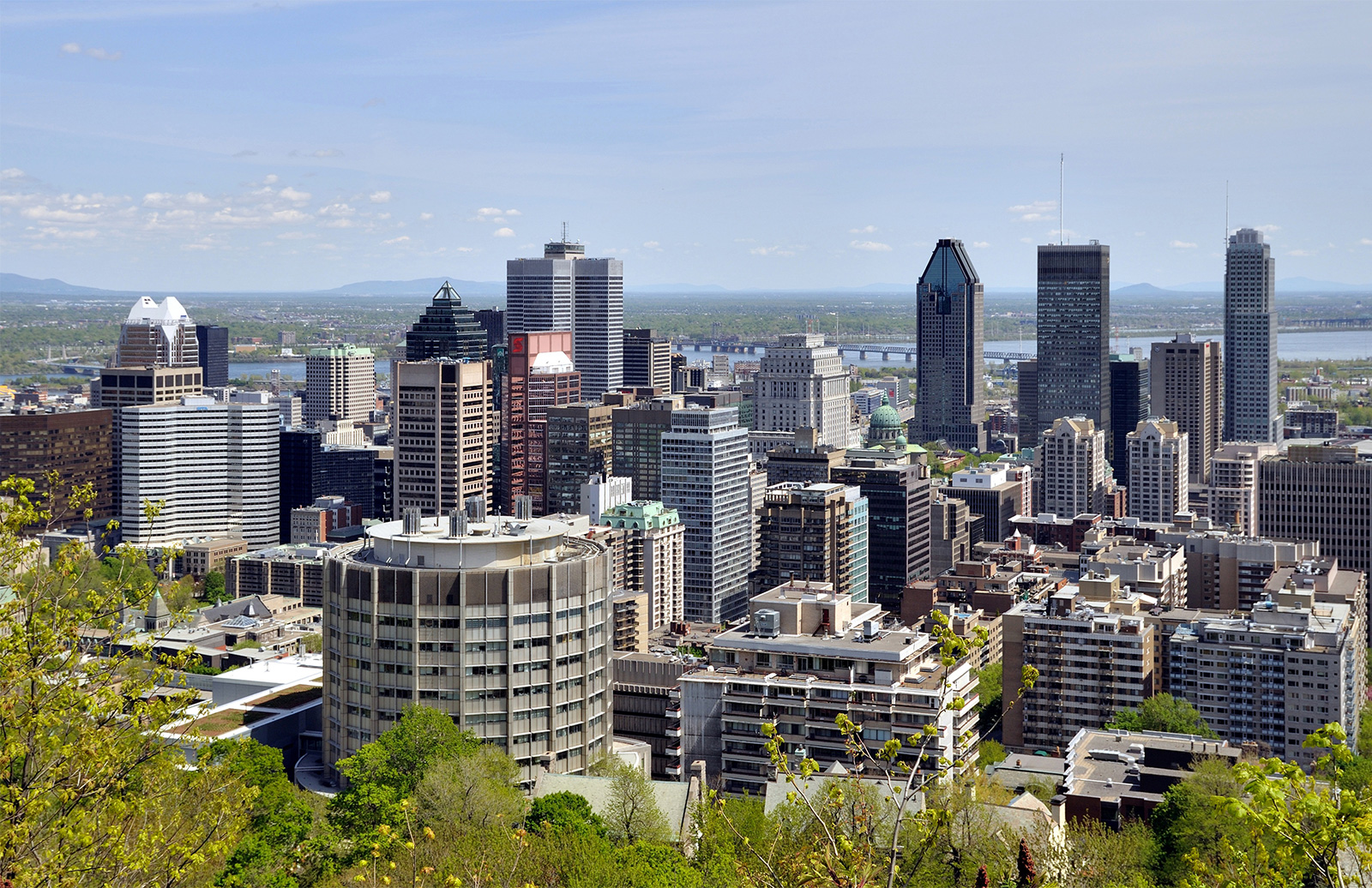 Cities to watch in 2017: view of Montreal's skyline