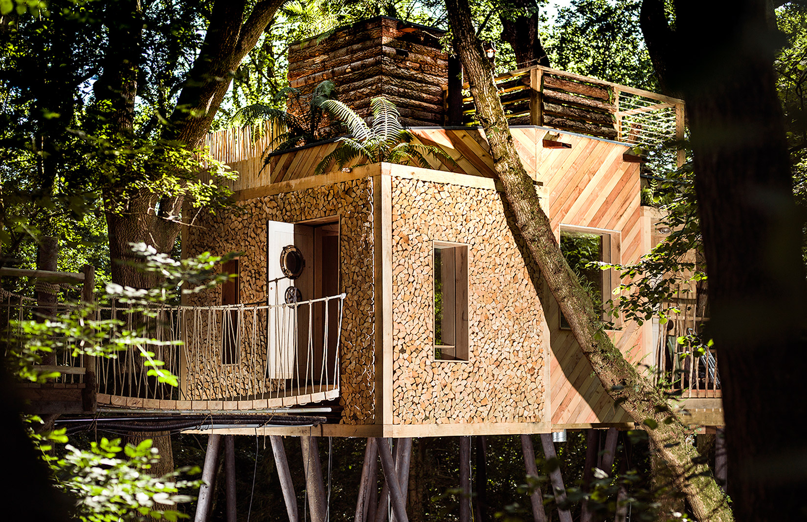 Holiday rental: treehouse in Dorset