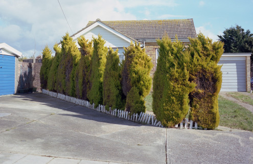Toby Coulson photographs a game of suburban hide-and-seek