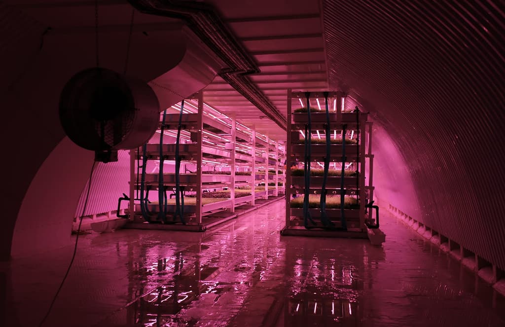London’s first underground farm set to open in WWII tunnels