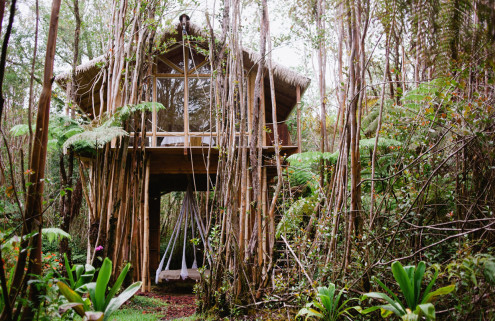 5 finds from across the web: a tiny treehouse, super-charged golf courses and more