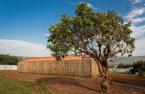 Rwandan doctors’ dormitory built with eucalyptus and handmade bricks