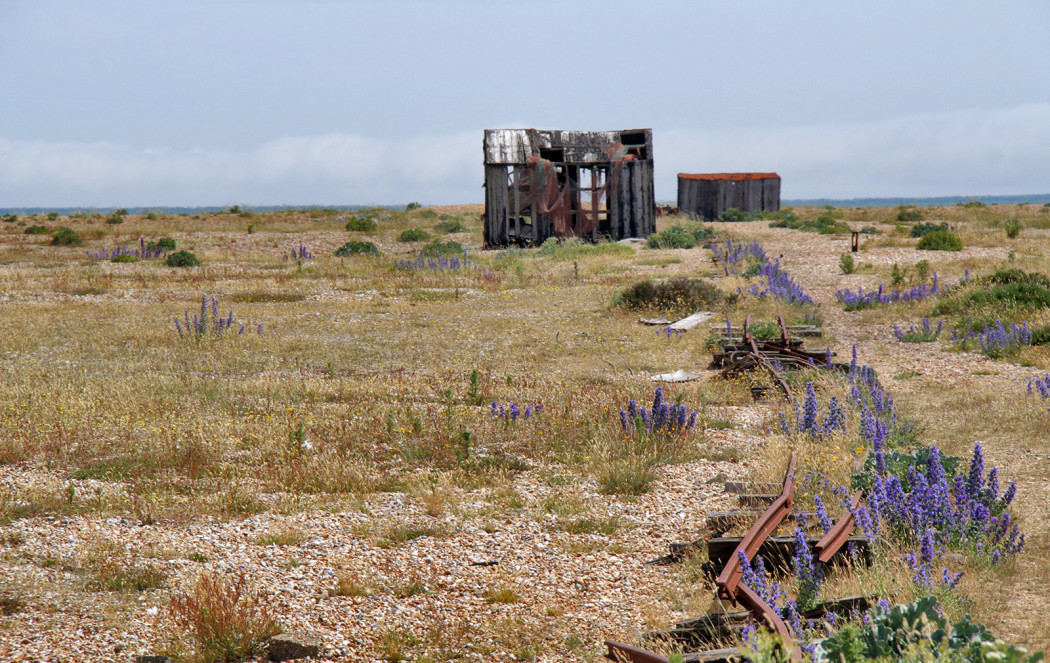 Dungeness: Britain’s only desert is blooming with contemporary architecture