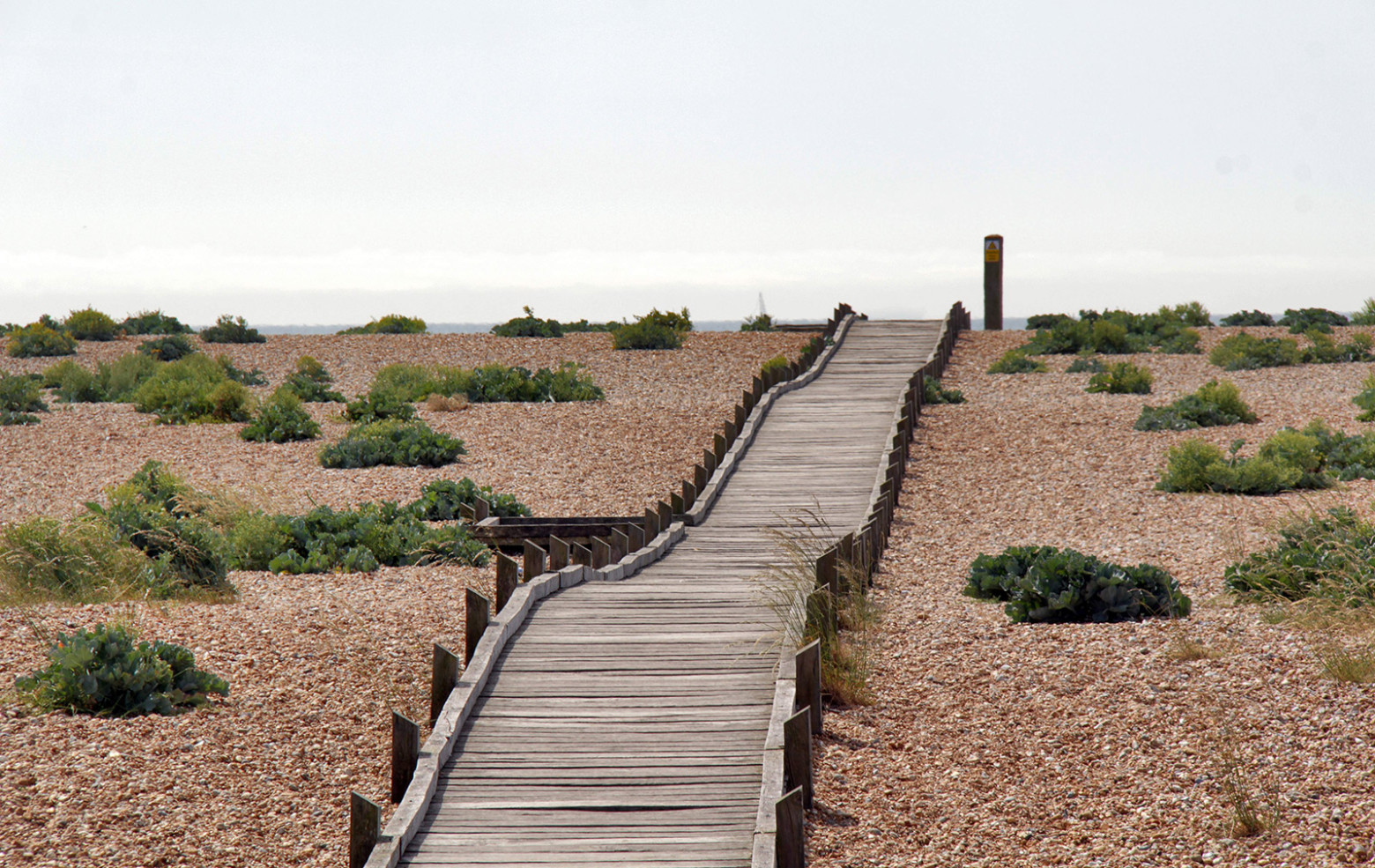 Dungeness: Britain’s Only Desert Is Blooming With Contemporary Architecture