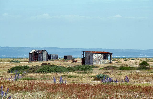 Dungeness Estate: Britain’s only desert could be yours for £1.5m