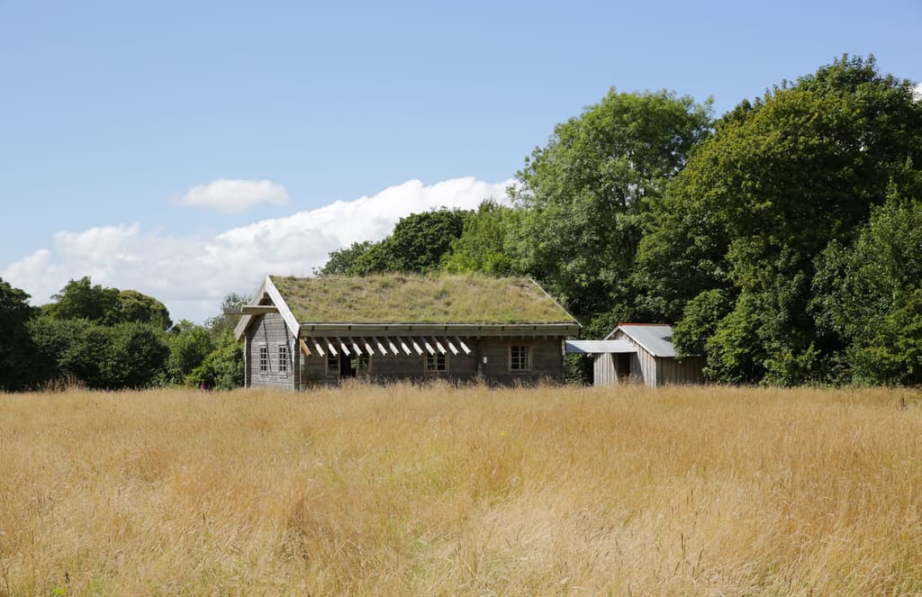 Property of the week: a cabin in the Cornish woods