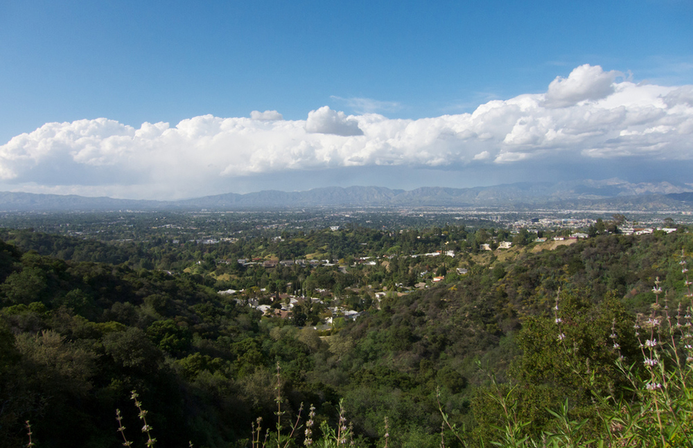 View of the Laurel Canyon area