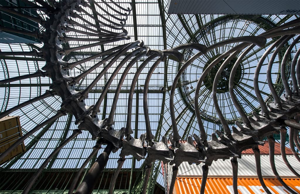 An aluminium snake, shipping containers and Napoleon’s hat take over Paris’ Grand Palais