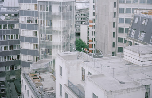 High rise honey: Dan Mariner photographs London’s rooftop beehives
