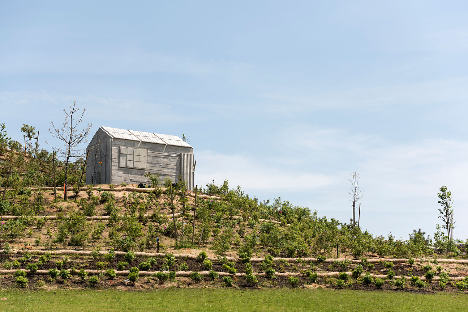 The Hills on Governors Island