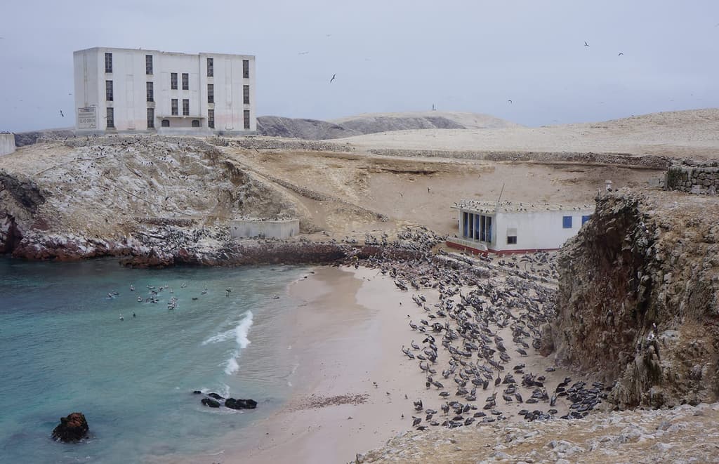 Dormitory and worker's kitchen on Chinca Norte Island. Still from The Colony, by DinhQ. Lê,2016. Commissioned by Artangel, Ikon, Birmingham, Han Nefkens H+F Collectionand Proyecto Amil, Lima. Photography: courtesy of the artist