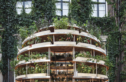Growroom explores how cities can feed themselves