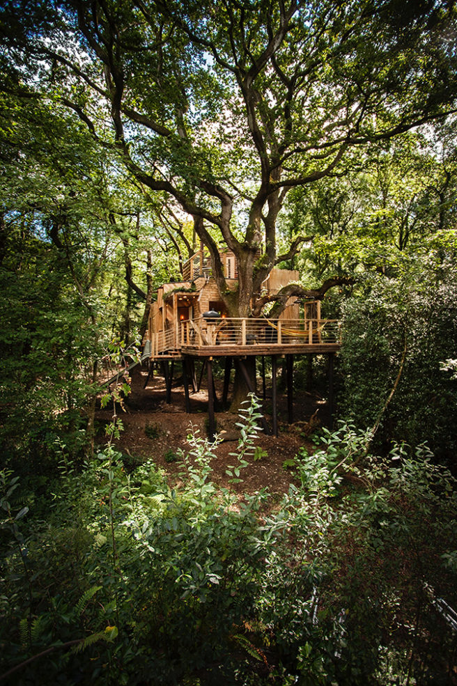 Rental of the week The Woodman's Treehouse in Dorset, UK The Spaces
