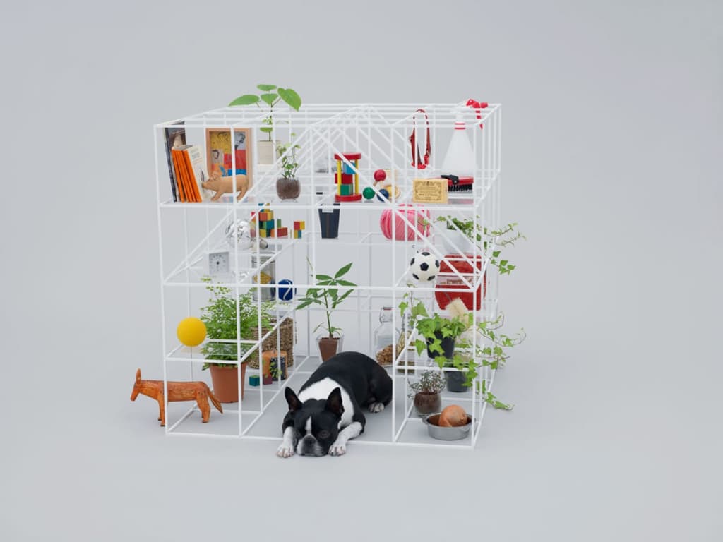 Designer dog house