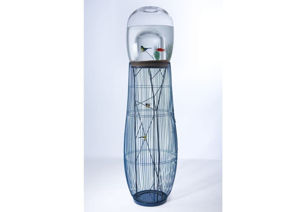 Duplex aquarium and bird house
