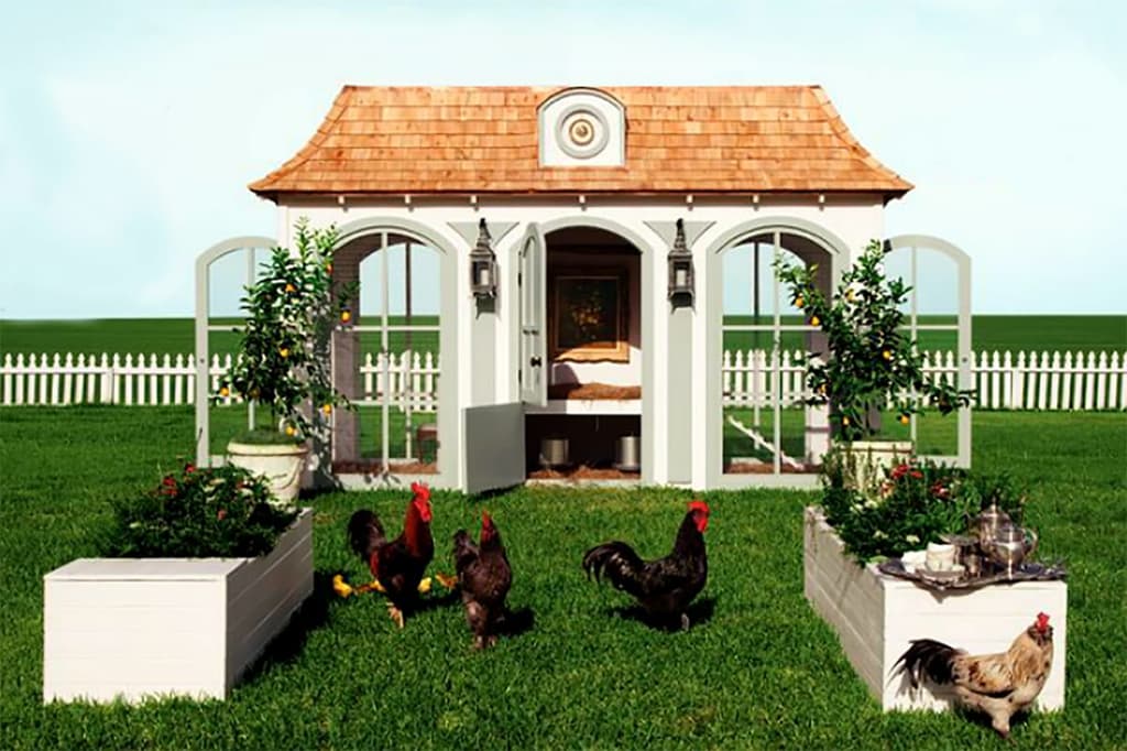 Hen house