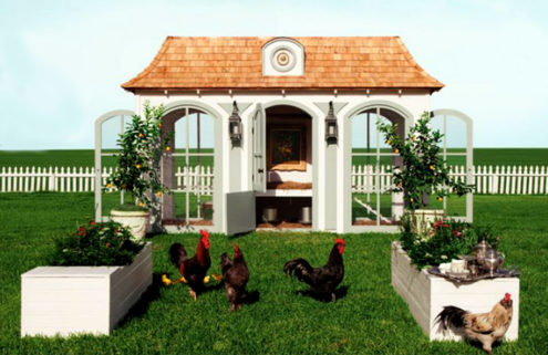 pet palaces - hen houses to designer dog house