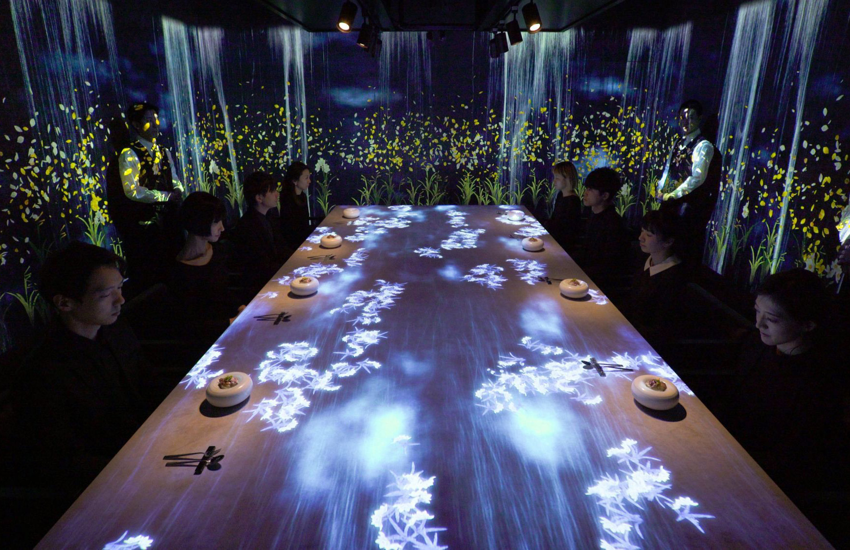 immersive dining room experiences