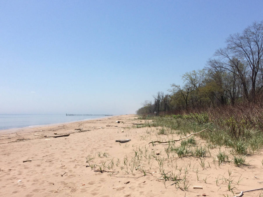 Off-grid cabins pop up in secret locations on New York’s beaches