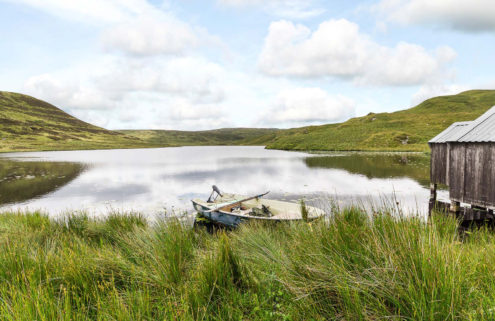 Own 1,000 acres of Welsh wilderness for just £500k