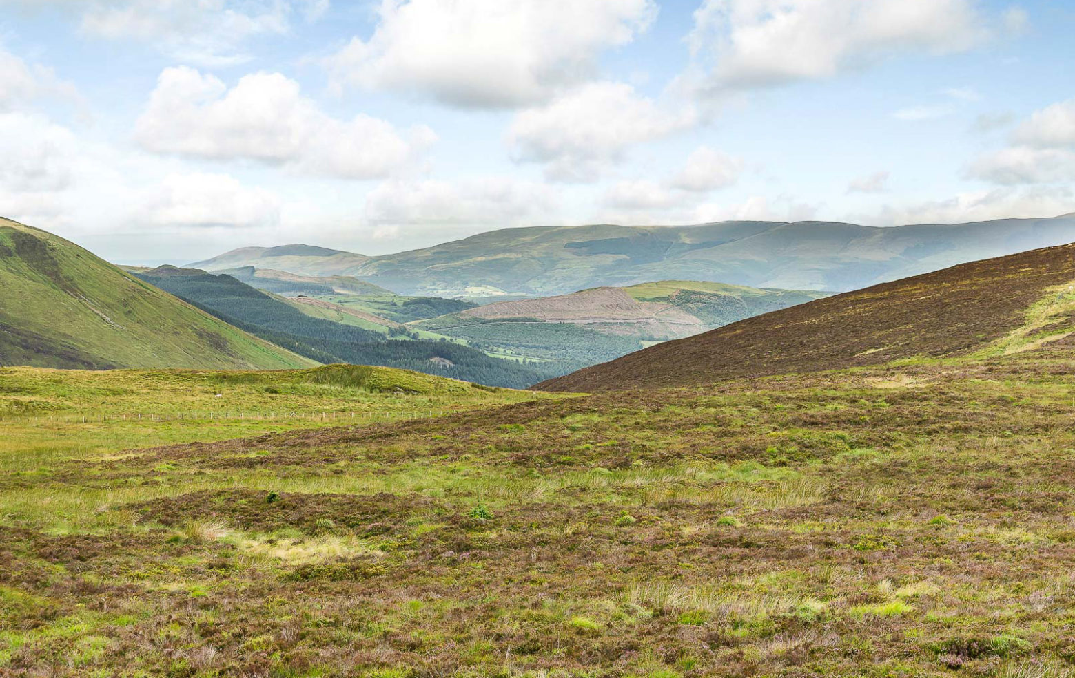 Own 1,000 acres of Welsh wilderness for just £500k