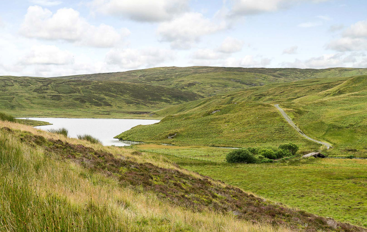 Own 1,000 acres of Welsh wilderness for just £500k