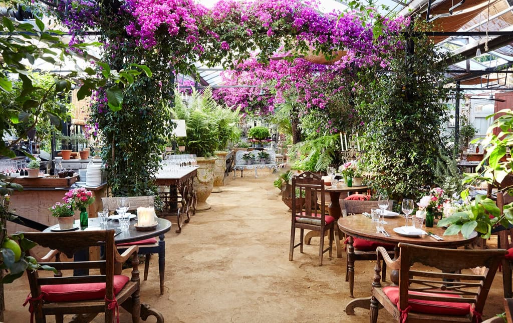 London restaurants with gardens – Petersham Nurseries