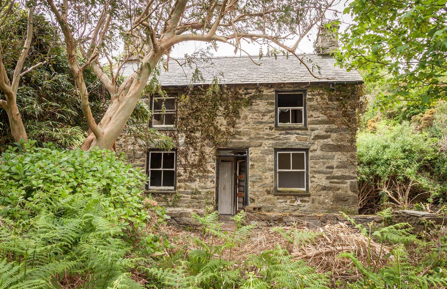 A Welsh island comes up for rent at £500 a month