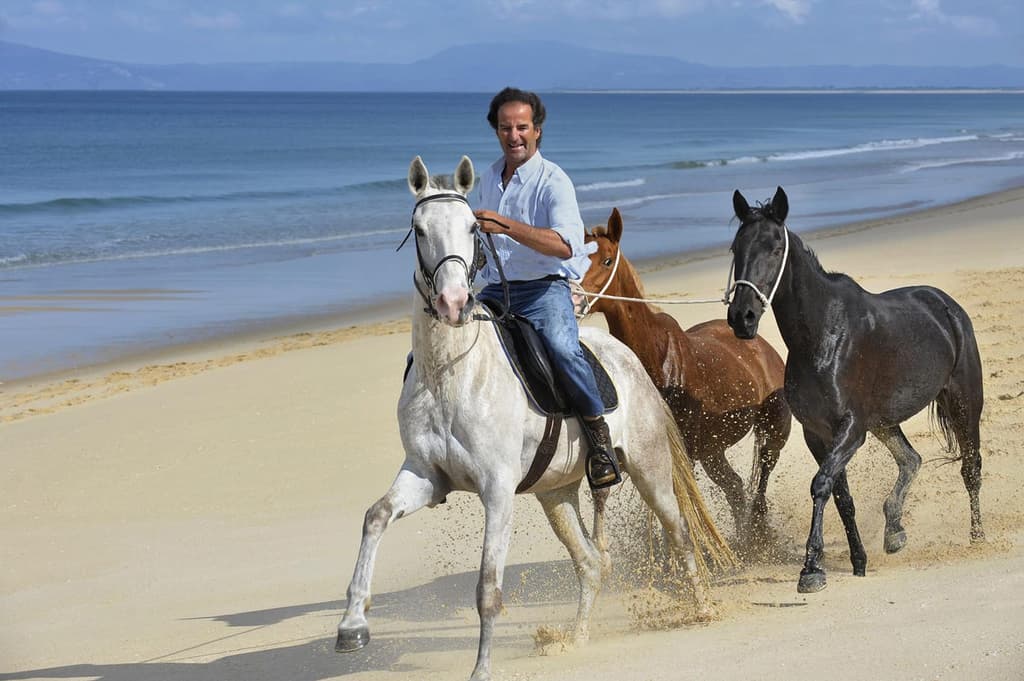 Horse riding on the beaches