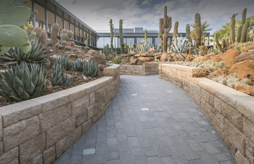 Madrid is now home to Europe’s largest cactus garden