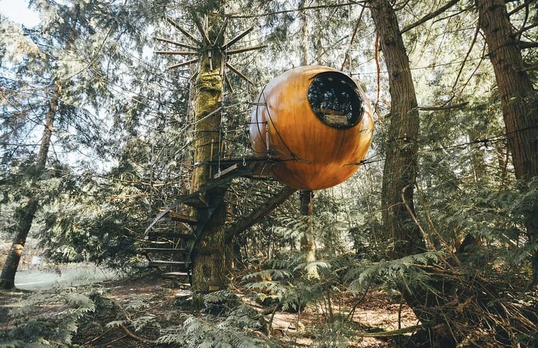 Vancouver treehouse hotel lets you sleep in a bauble