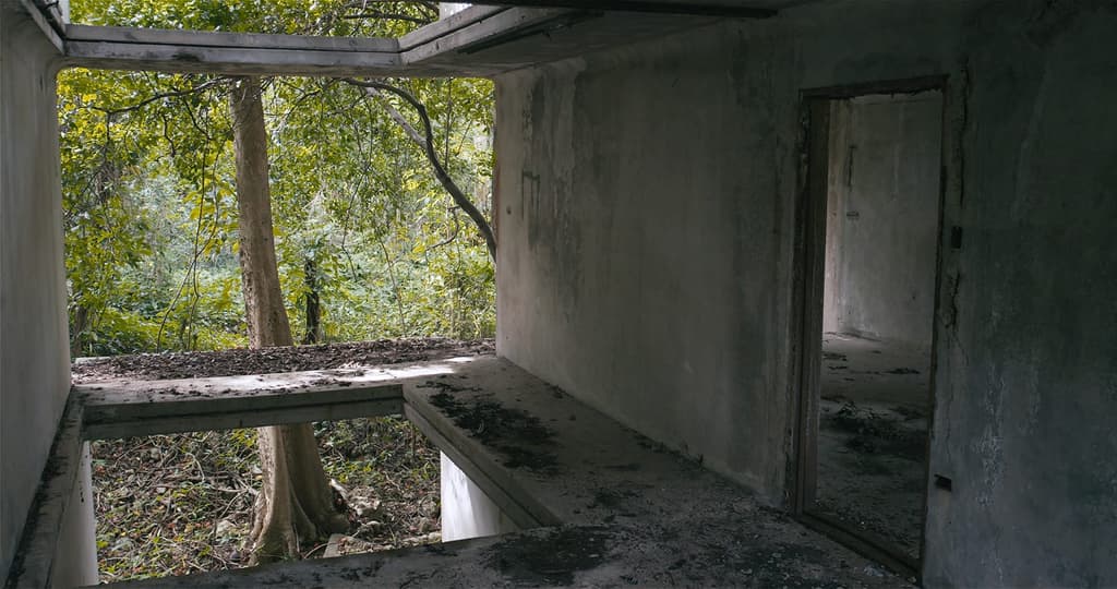 David Hartt, still from <em>In The Forest</em>, 2017. Courtesy of Corbett vs. Dempsey and commissioned by the Graham Foundation for Advanced Studies in the Fine Arts