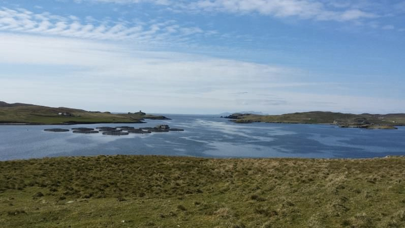 Linga Island, Shetlands