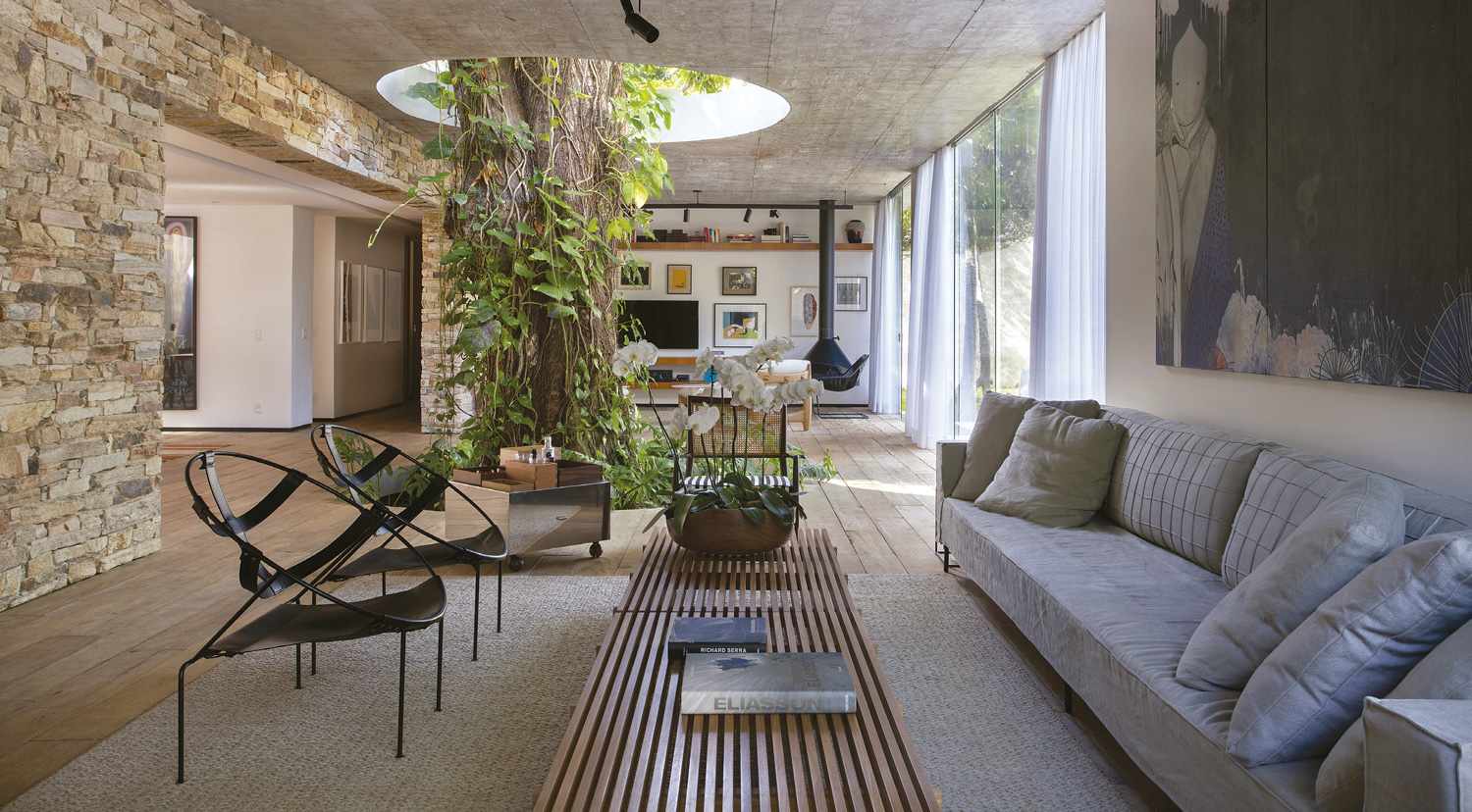 A home with a tree at its heart, designed by Alessandro Sartore in Rio de Janeiro, Brazil 