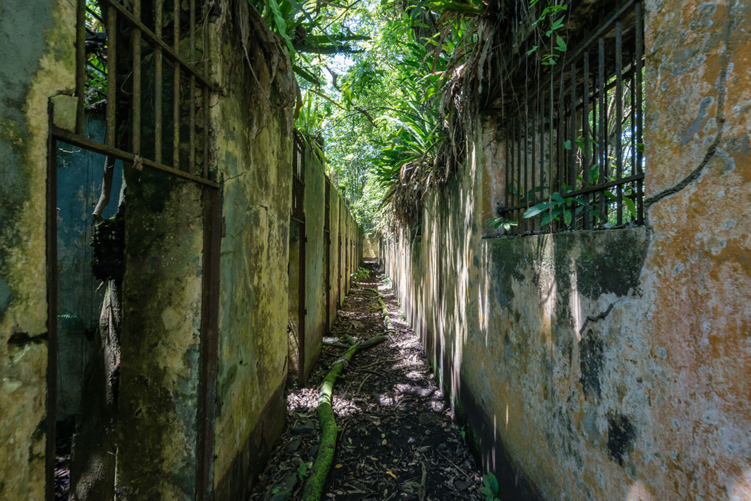 Explore the ruins of a notorious French penal colony