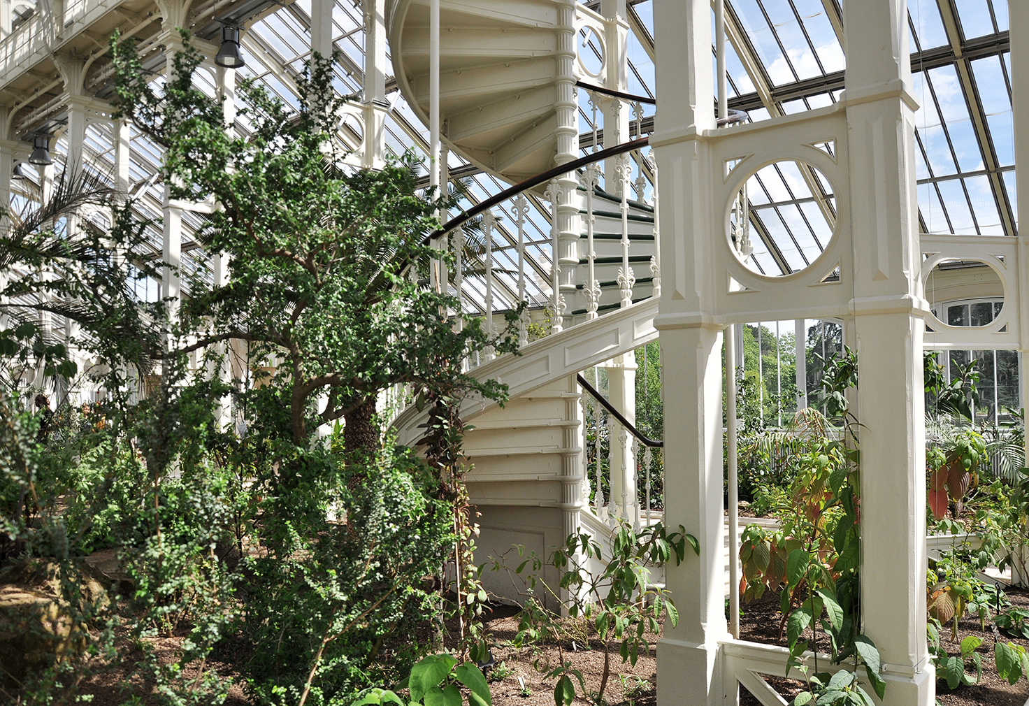 Explore Kew Gardens' freshly restored Temperate House
