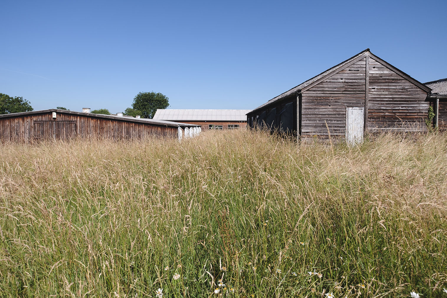 Hertfordshire home with a studio and unconverted barns lists for £1.975m