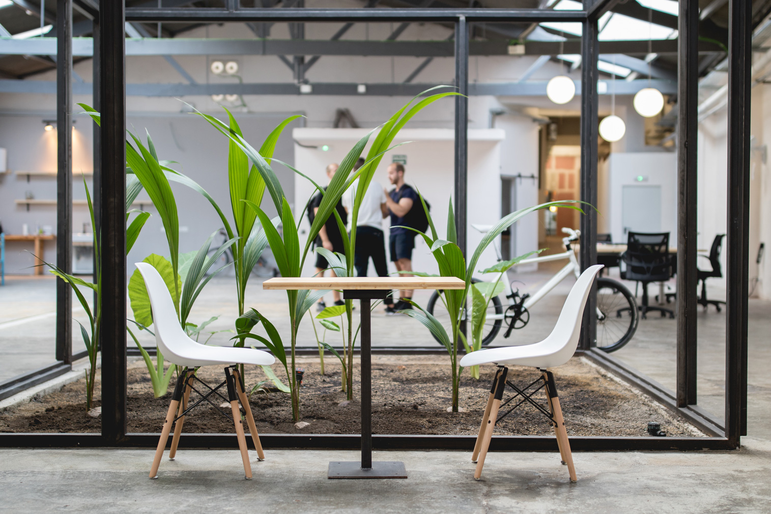 Abandoned Barcelona warehouse becomes a coworking space 