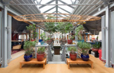 Property of the week: Sir Terry Farrell’s London penthouse