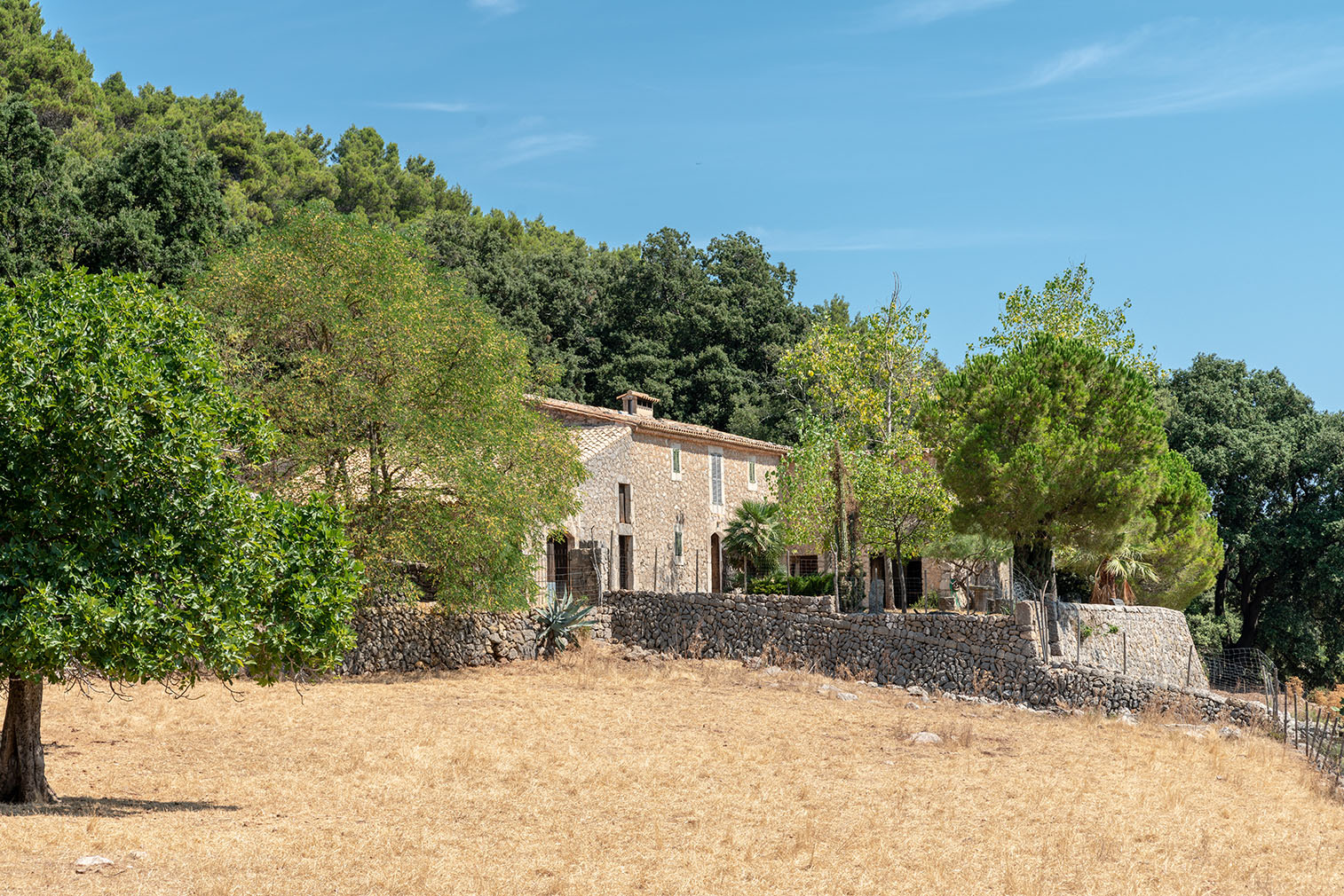 Mountainside Mallorcan finca with 550 acres of olive groves and acorn forest hits the market