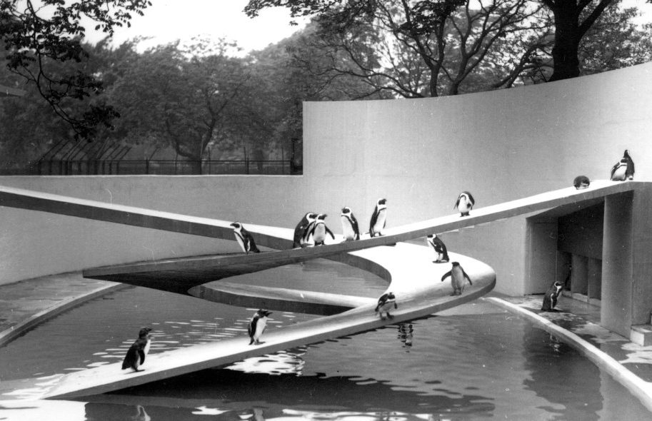 London Zoo’s Modernist ‘penguin Utopia’ Is Beyond Repair Says Lubetkin ...