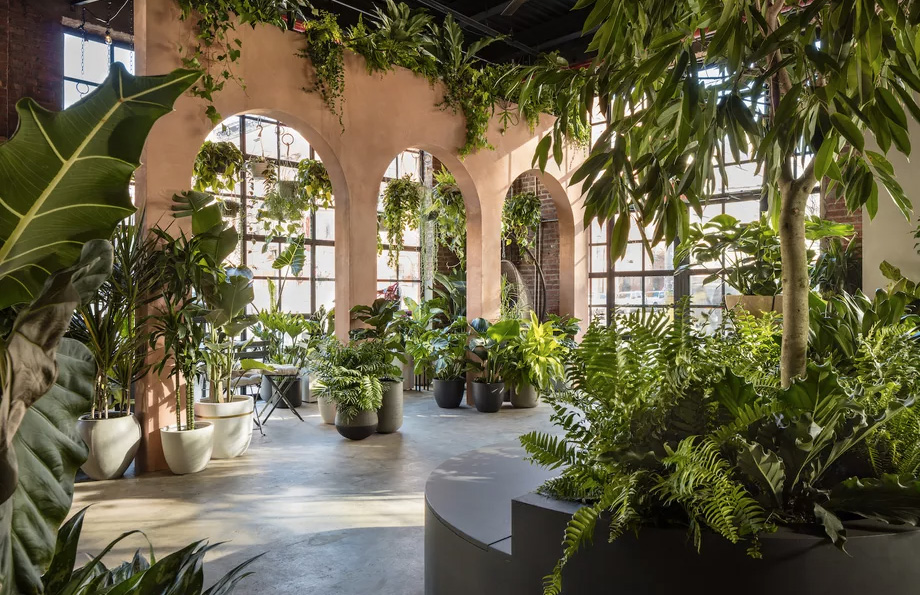 New York's 'greenest' store throws open its doors - The Spaces