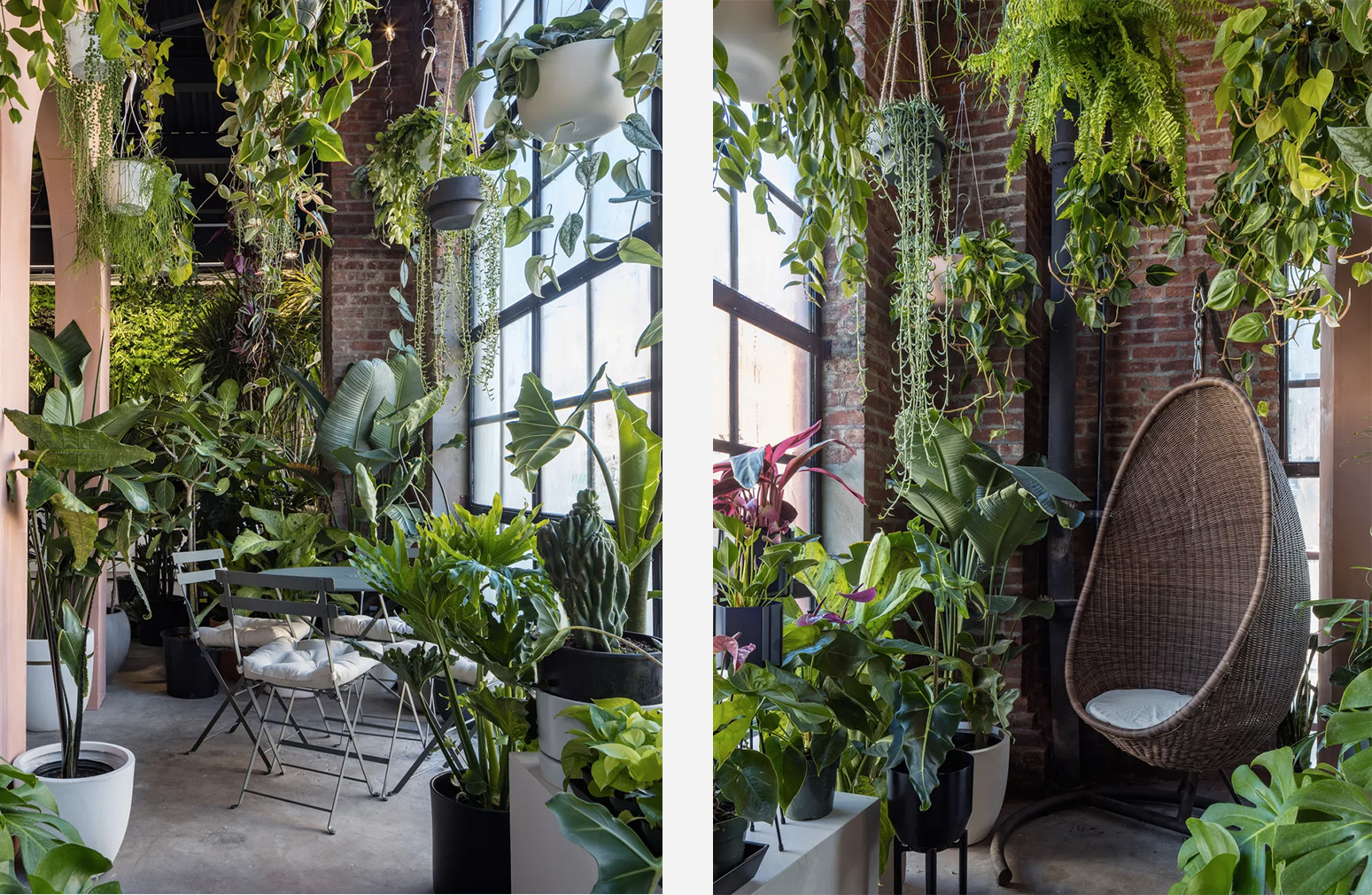 Greenery Unlimited -- a plant lover's paradise in Brooklyn