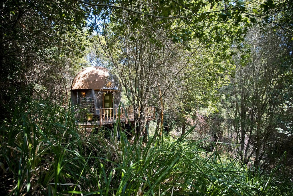 Mushroom dome cabin for rent on Airbnb