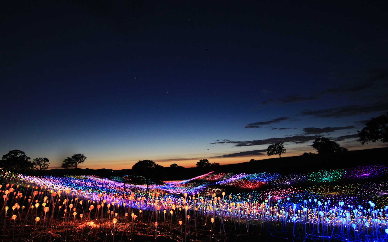 Nearly 60,000 twinkling LEDs light up the hills of Californian wine country