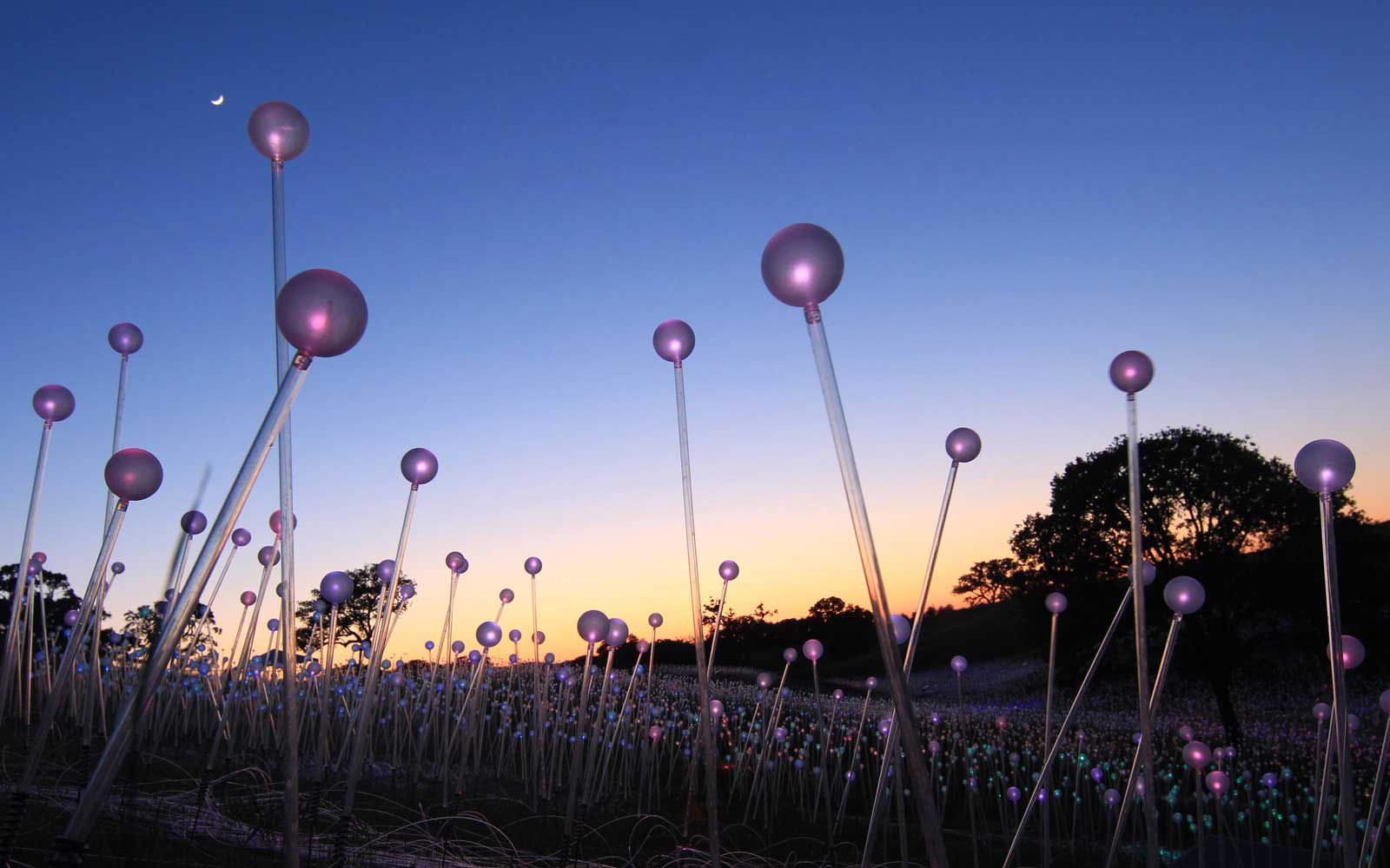 Nearly 60,000 twinkling LEDs light up the hills of Californian wine country